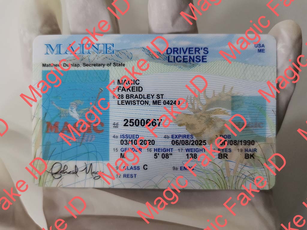 Maine Driver License - Maine Fake ID - Scannable Fake IDs