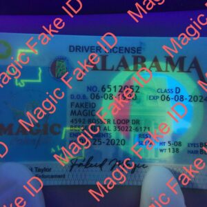 Alabama Driver License