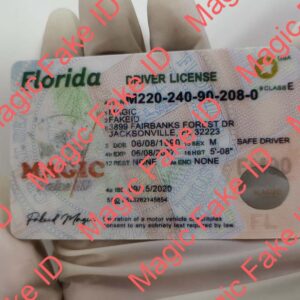 New Florida Driver License